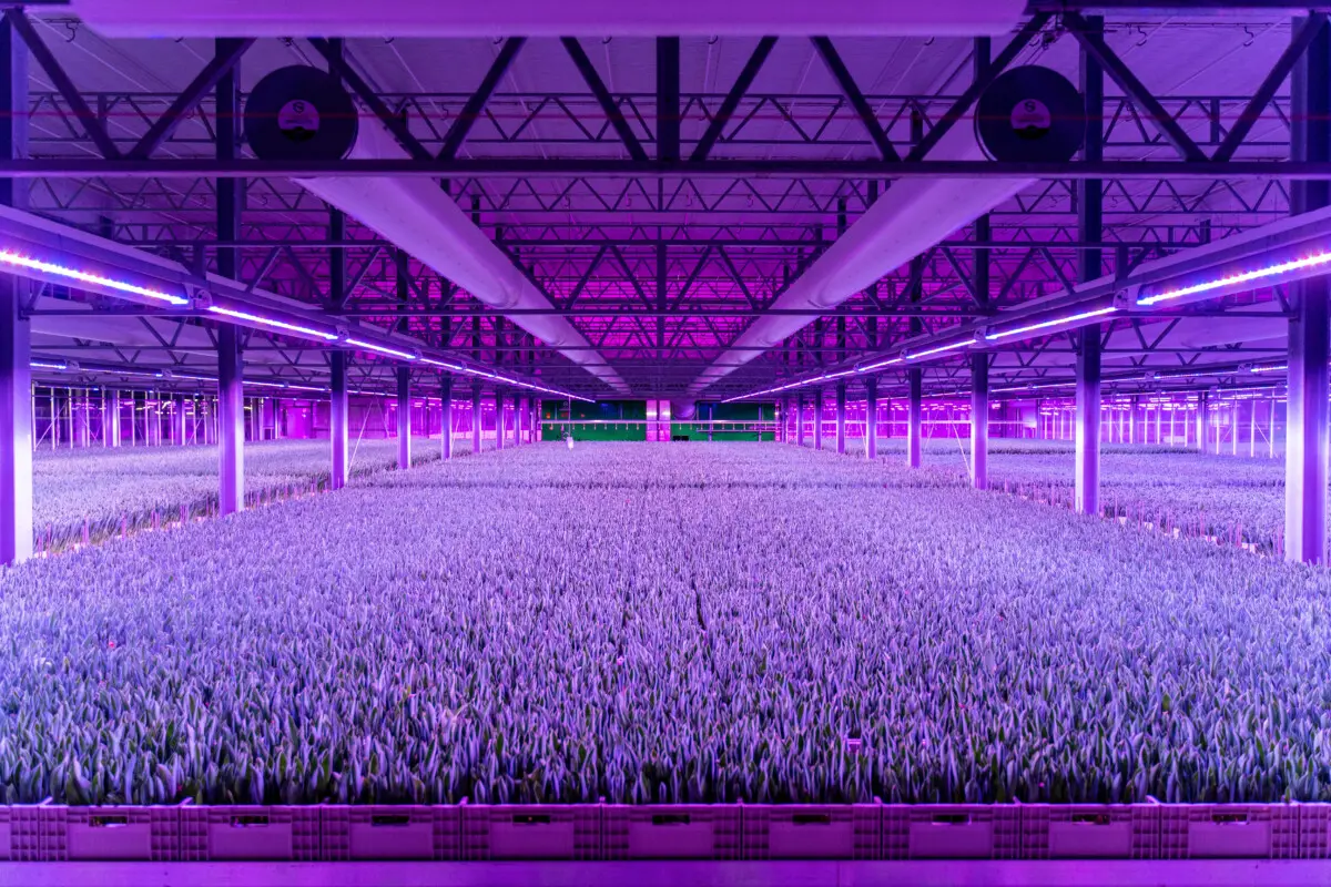 Indoor Vertical Farming Prins USA indoor-vertical-farming-prins-usa